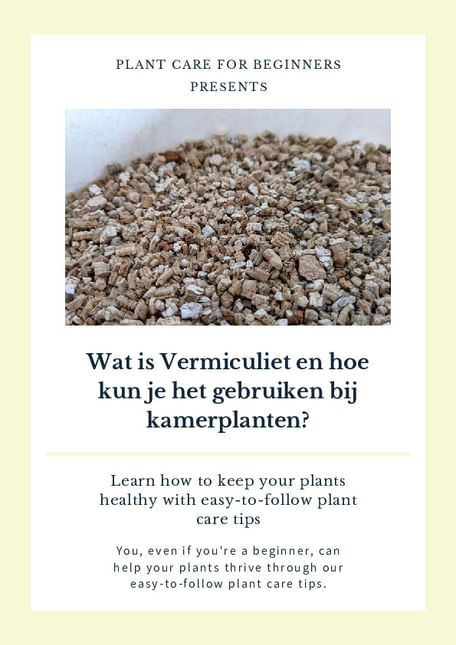 Wat is Vermiculiet en hoe kun je het gebruiken bij kamerplanten?