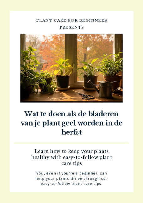 Wat te doen als de bladeren van je plant geel worden in de herfst