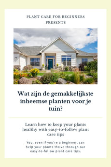 Wat zijn de gemakkelijkste inheemse planten voor je tuin?