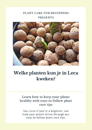 Welke planten kun je in Leca kweken?