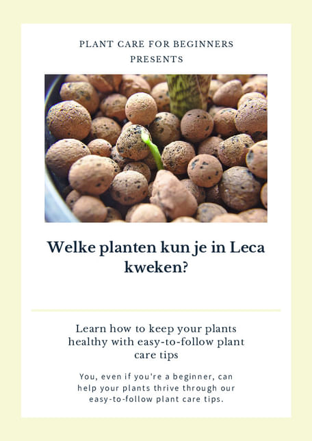 Welke planten kun je in Leca kweken?