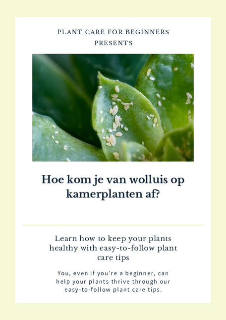 Hoe kom je van wolluis op kamerplanten af?
